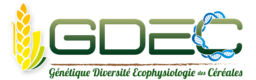 GDEC