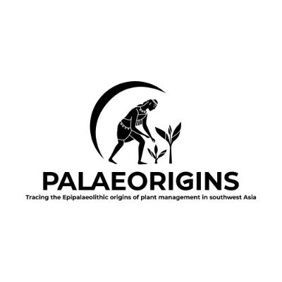 Origin - PalaeOrigins Project